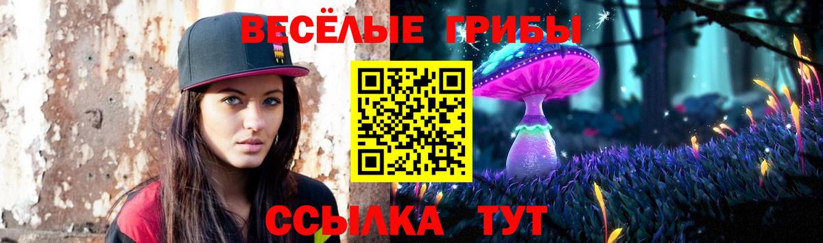 Псилоцибиновые грибы GOLDEN TEACHER Воскресенск